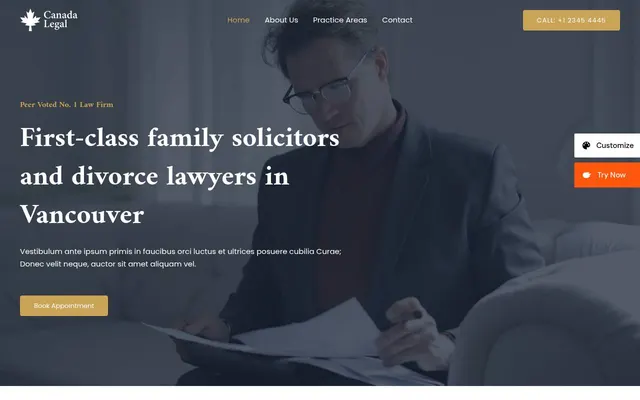 Family Lawyer — screenshot of the live demo, taken by us