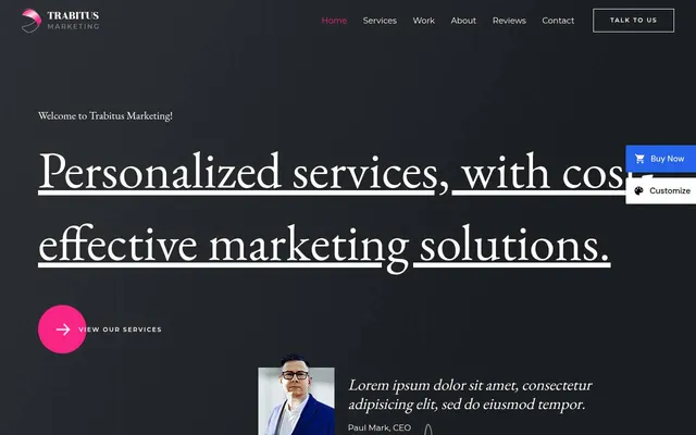 Marketing Firm — screenshot of the live demo, taken by us
