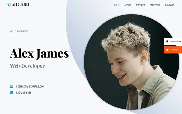 Portfolio & CV — screenshot of the live demo, taken by us