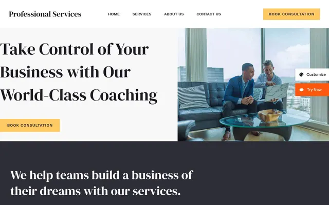 Professional Services — screenshot of the live demo, taken by us